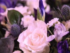 Funerals during Coronavirus 
