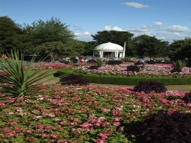 Joytime in Vale Park